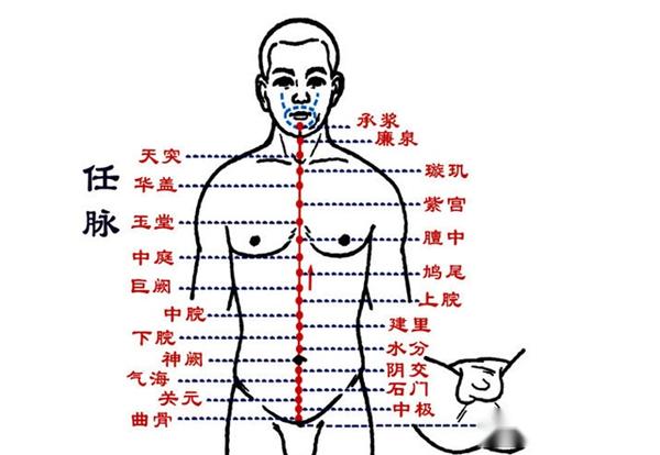 任脉、督脉、冲脉、带脉,四脉精准解析!一看就懂了 - 知乎