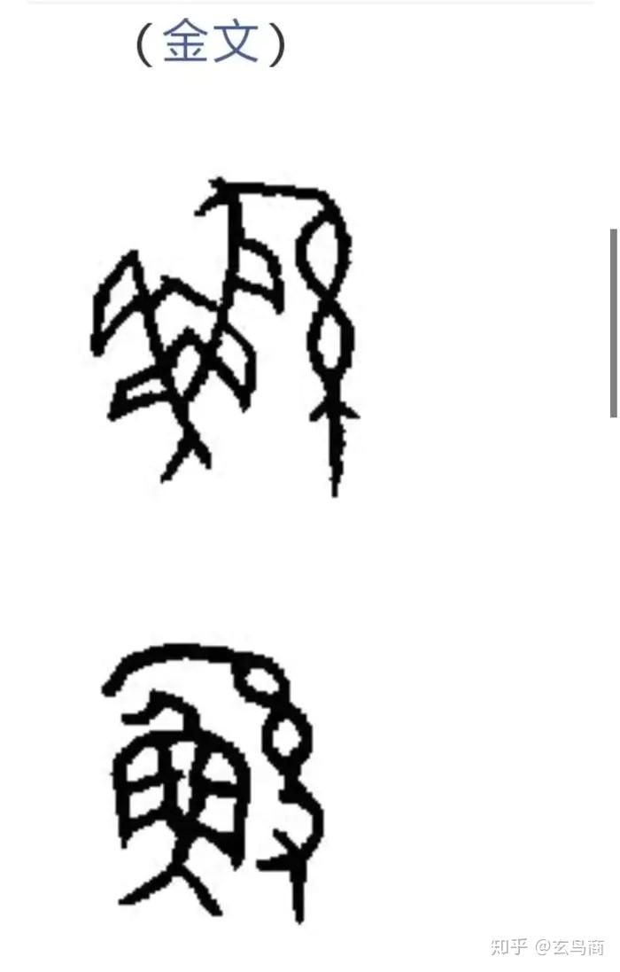 "大禹"为什么不是"蝎子王" - 知乎