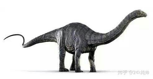 迷惑龙阿马加龙丁赫罗龙梁龙马扎尔龙一说起恐龙时代的巨人,大家会不