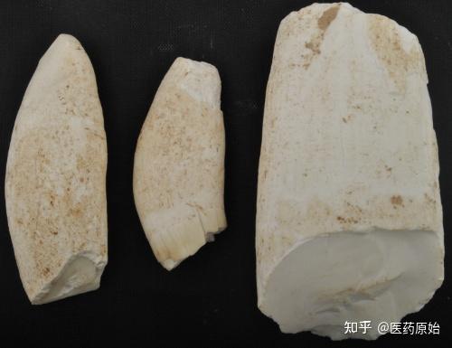 龙齿药材龙齿药材白龙齿青龙齿【性状】本品呈齿状或破碎成不规则的