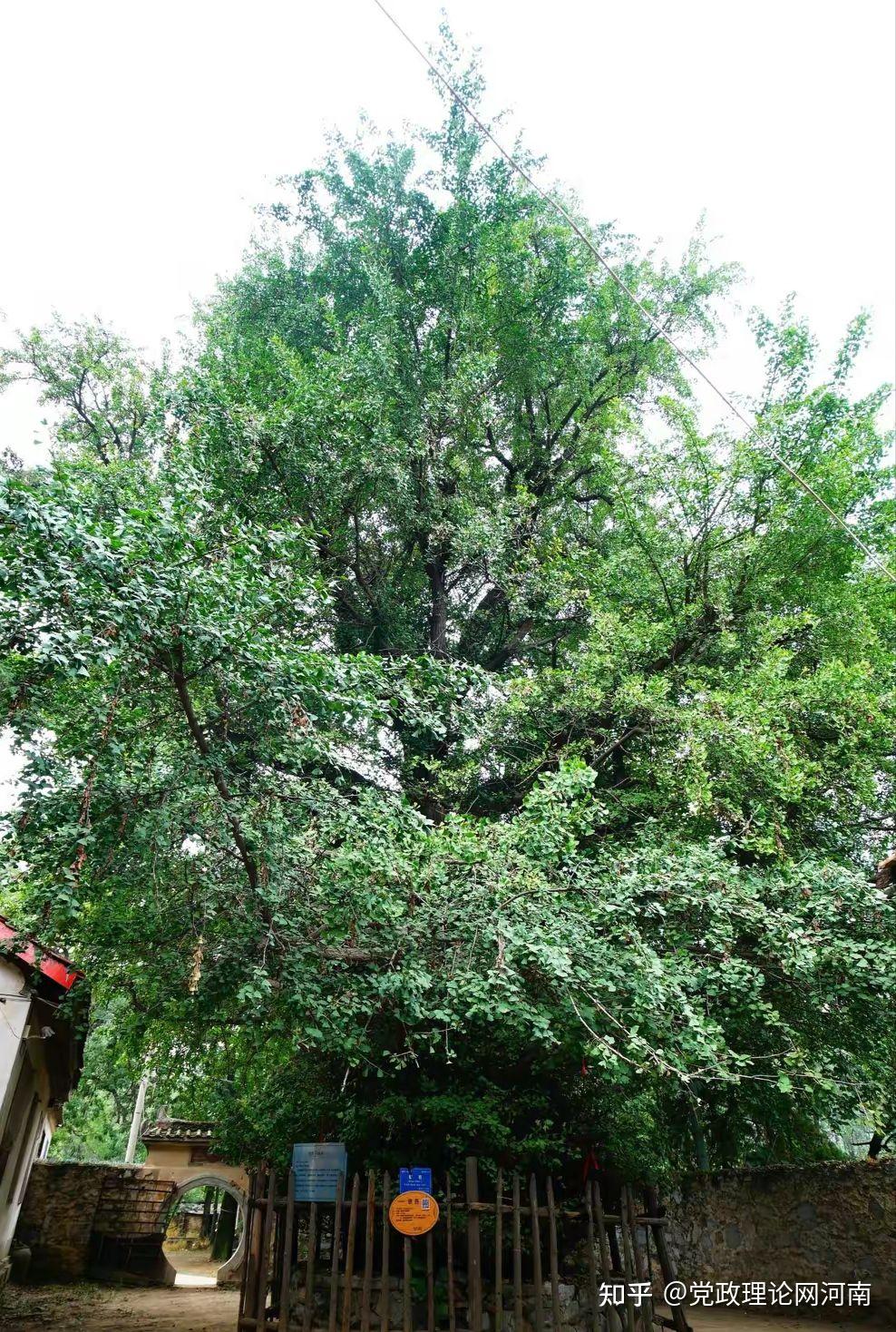 北泉寺超度-北泉寺视频下载