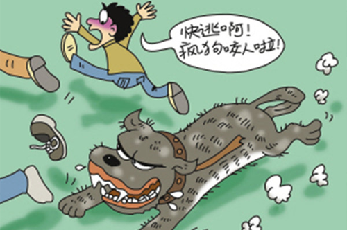又到夏日疯狗咬人时