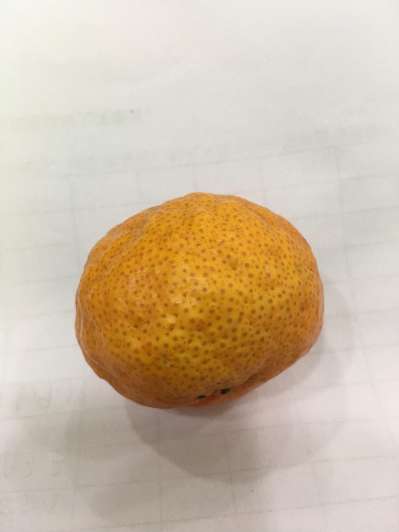 为什么现在的小橘子上有一个一个的小黄点?