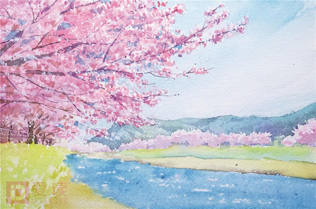 二年级樱花盛景绘画图片