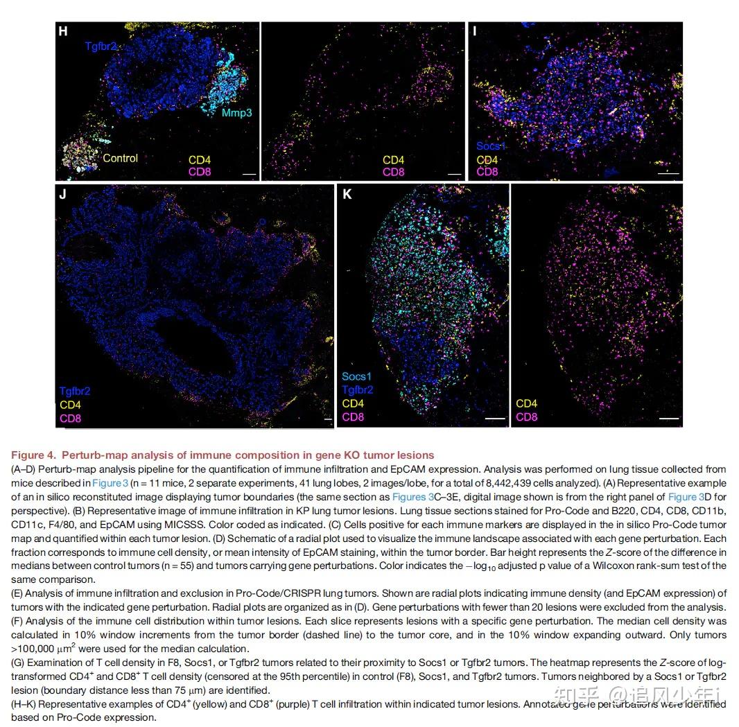 10x空間轉錄組聯合crispr技術發現改變腫瘤微環境的基因空間crispr