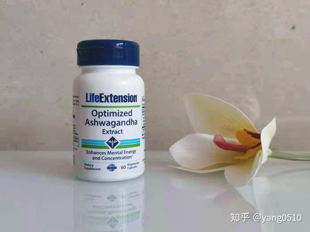 身心灵平衡之法宝8款阿育吠陀特色草本补剂分享