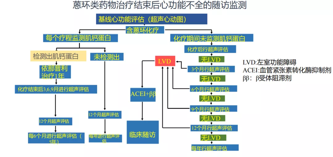 权威共论 | 2020肿瘤心脏病领域学科八大进展