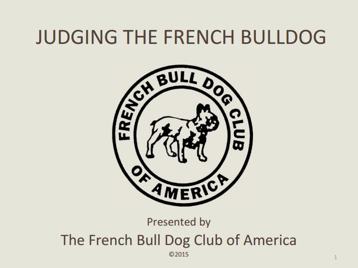 logo是一只法国斗牛犬图片