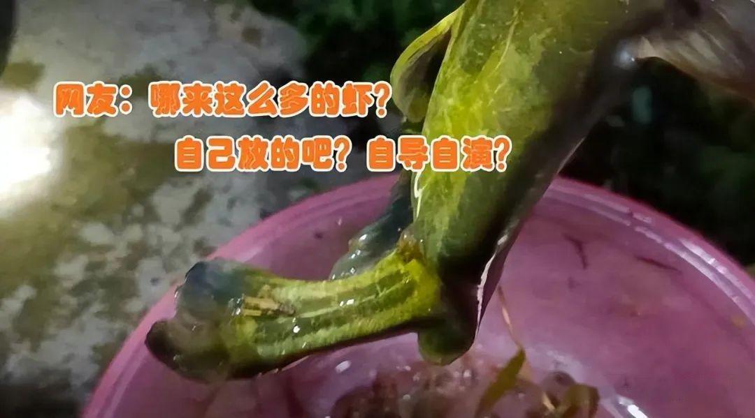 钓鱼变钓虾浙江男子夜钓遭遇河虾包围网友上抄网