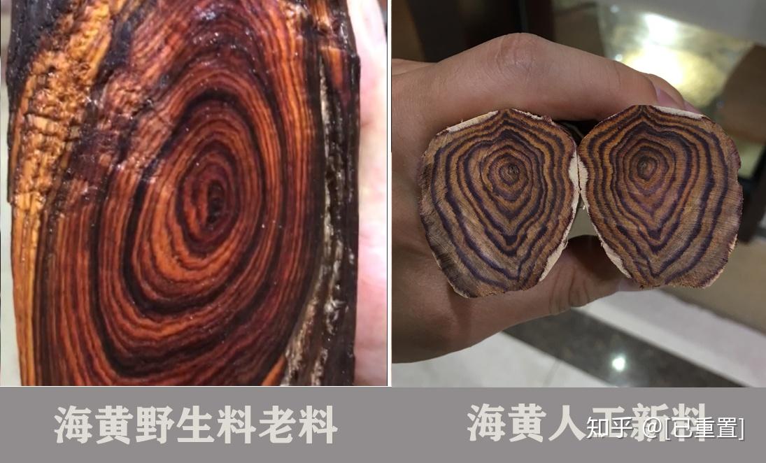 v2-cd3334da81f6f12e069a23a0dd24caf2_r.jpg