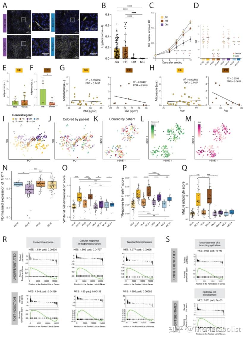 Cell Metabolism：脂海漫漫藏异彩，网膜深处觅真形 - 知乎