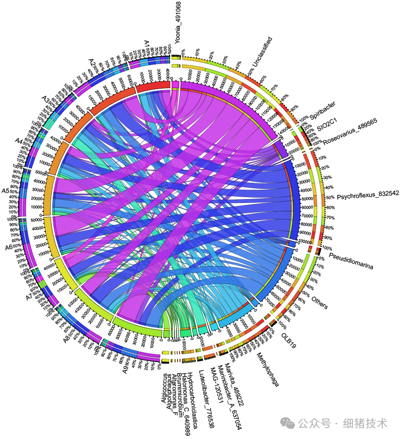 微生物群落结构可视化分析_在线绘制样本-物种丰度关联弦装图(Circos) - 知乎