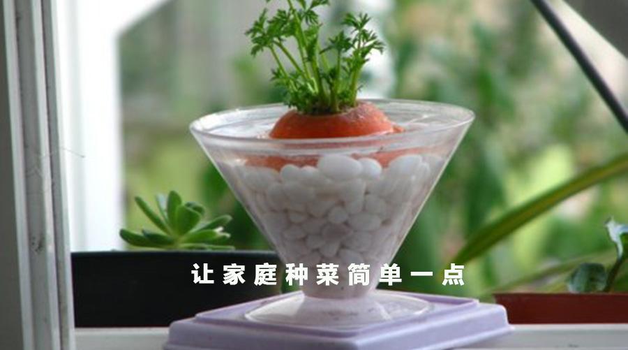 做哪些菜可以放黄酒 v2-cd504930ca3cfd9a6c82e30a39d6bc99_r.jpg