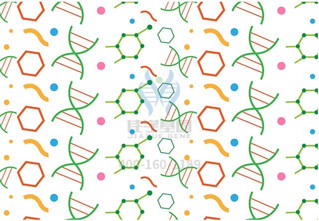 v2-cd567051ecfc1b6c54cbe74e752c407b_1440w.jpg?source=172ae18b