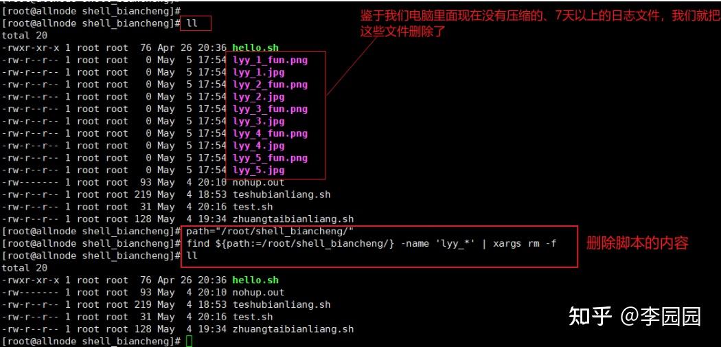 Linux shell 