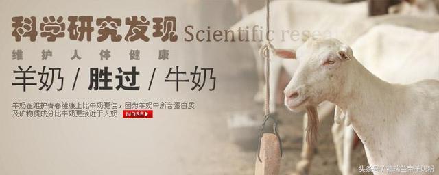 羊奶好还是牛奶好?