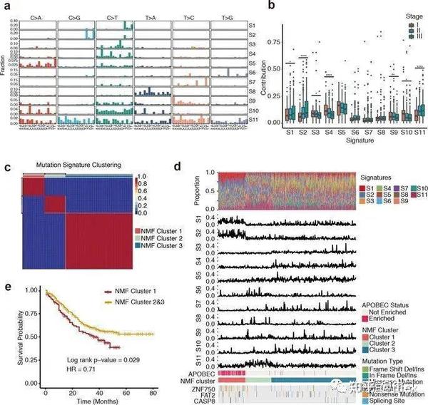 Mutational Signature - 知乎