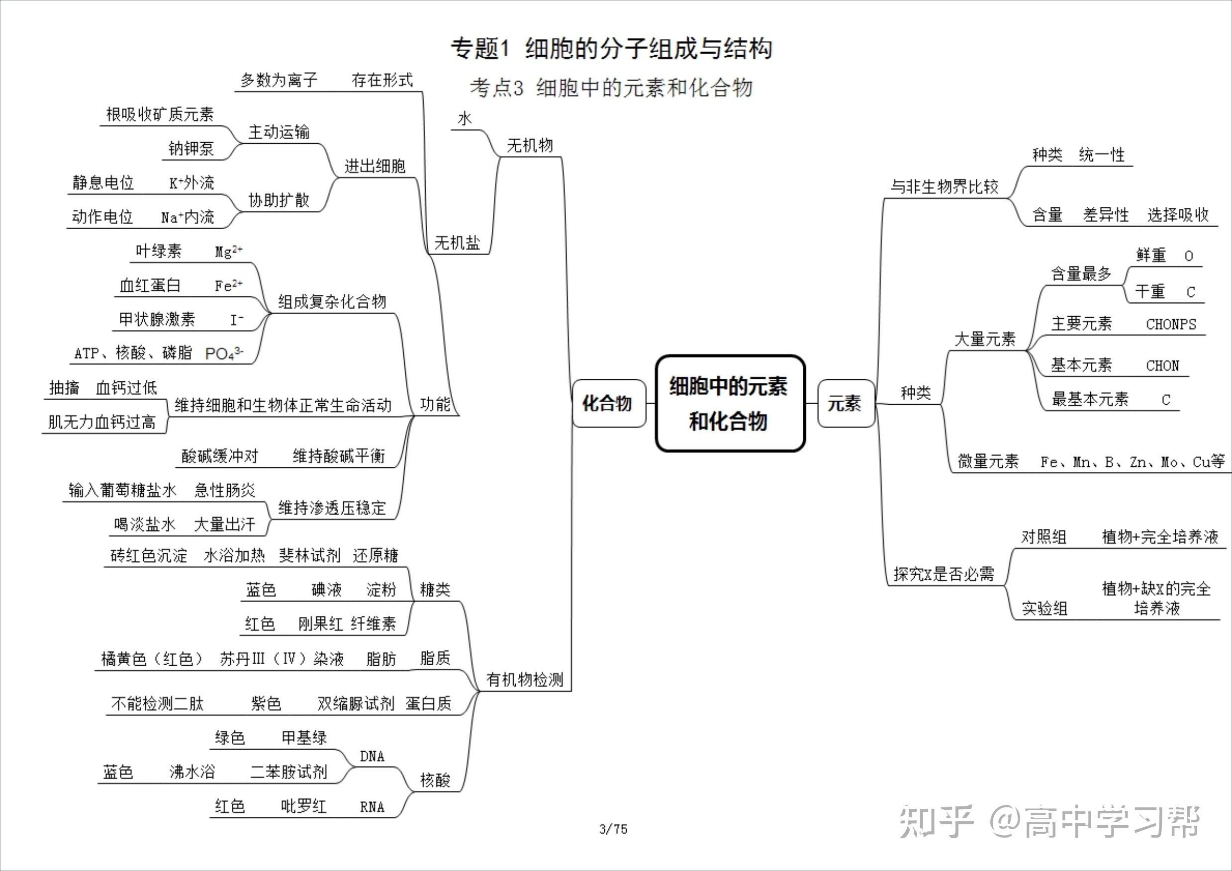 耗时7天整理了高中生物20个专题的75张思维导图必修选修全有