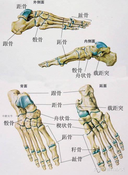 孩子走几步路就喊累是懒吗别冤枉孩子先检查是不是扁平足
