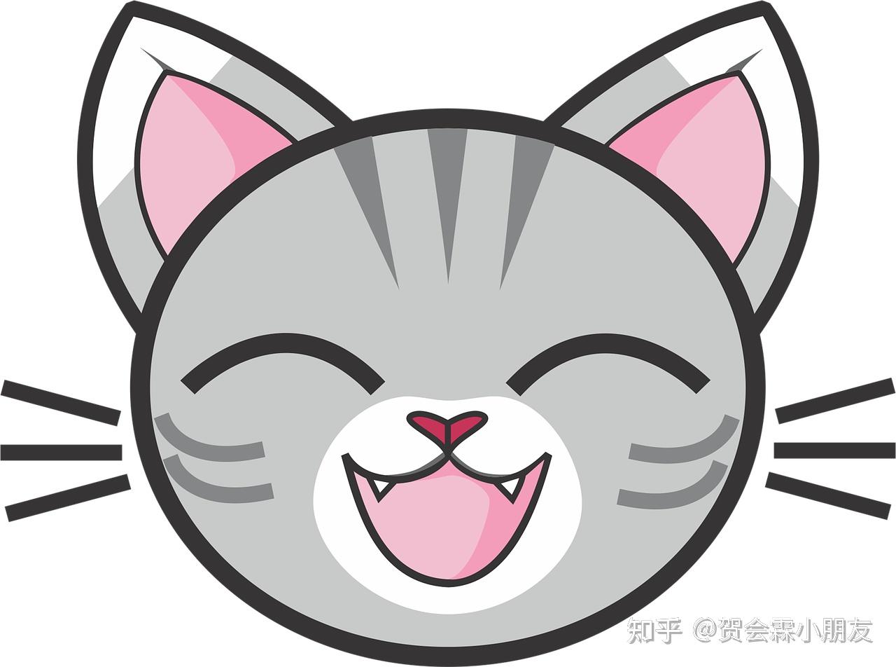 可爱的狸花猫 - 知乎