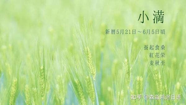 小满 日本有哪些风物诗 知乎