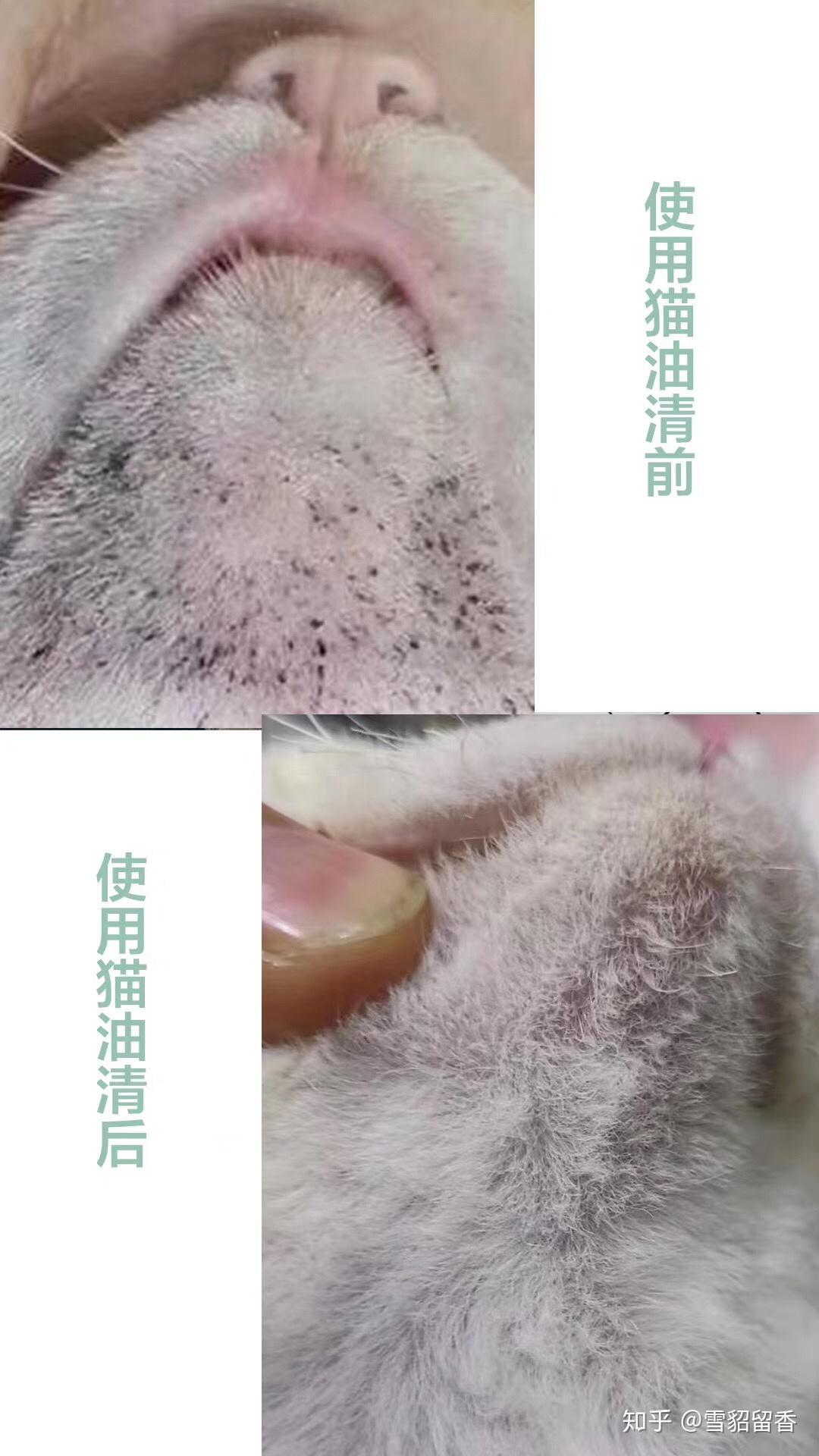 v2-cd8f08763196c06d5b0a57a9a4c8e922_r.jpg