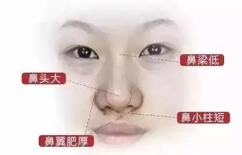 v2-cd93ff1b848249d25e34a4ca651e12c4_1440w.jpg?source=172ae18b