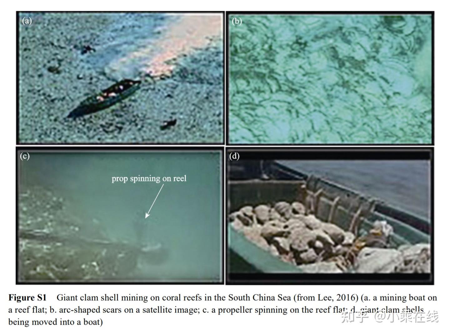 Substrate Damage And Recovery After Giant Clam Shell Mining At Remote 