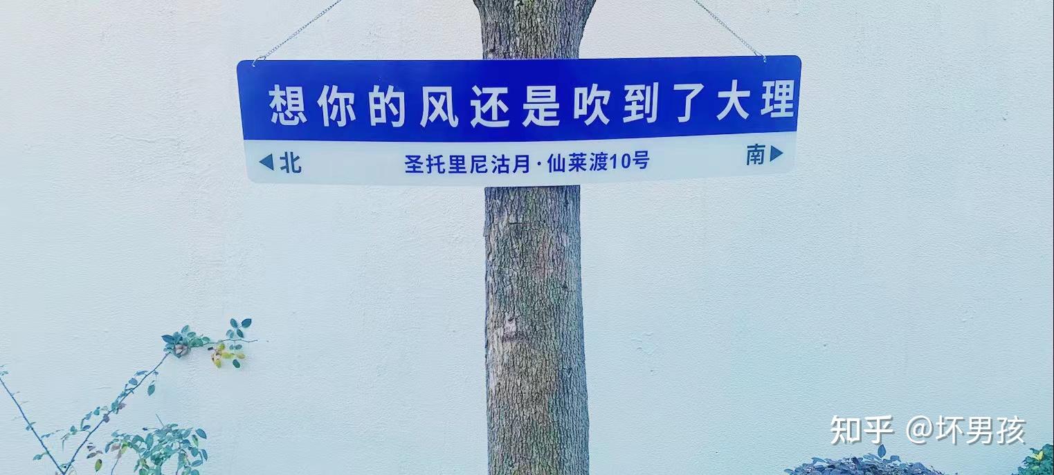 一路向西去大理:追逐风的自由之旅 - 知乎