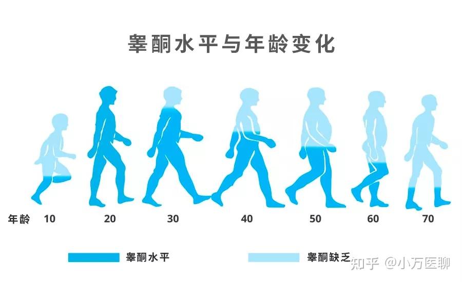 男性也有更年期睪丸酮與整體健康