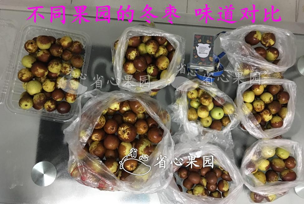 v2-cdbd0e644e76cd1b7a64cdc7f6a4cc62_r.jpg