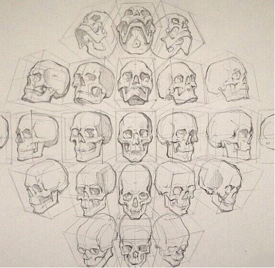 人体面部不同角度的比例与画法