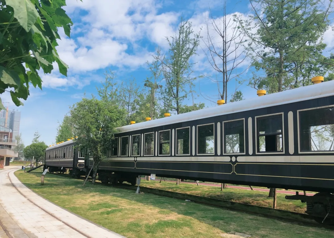 春游幸福成都乐享美好生活成华正春意盎然