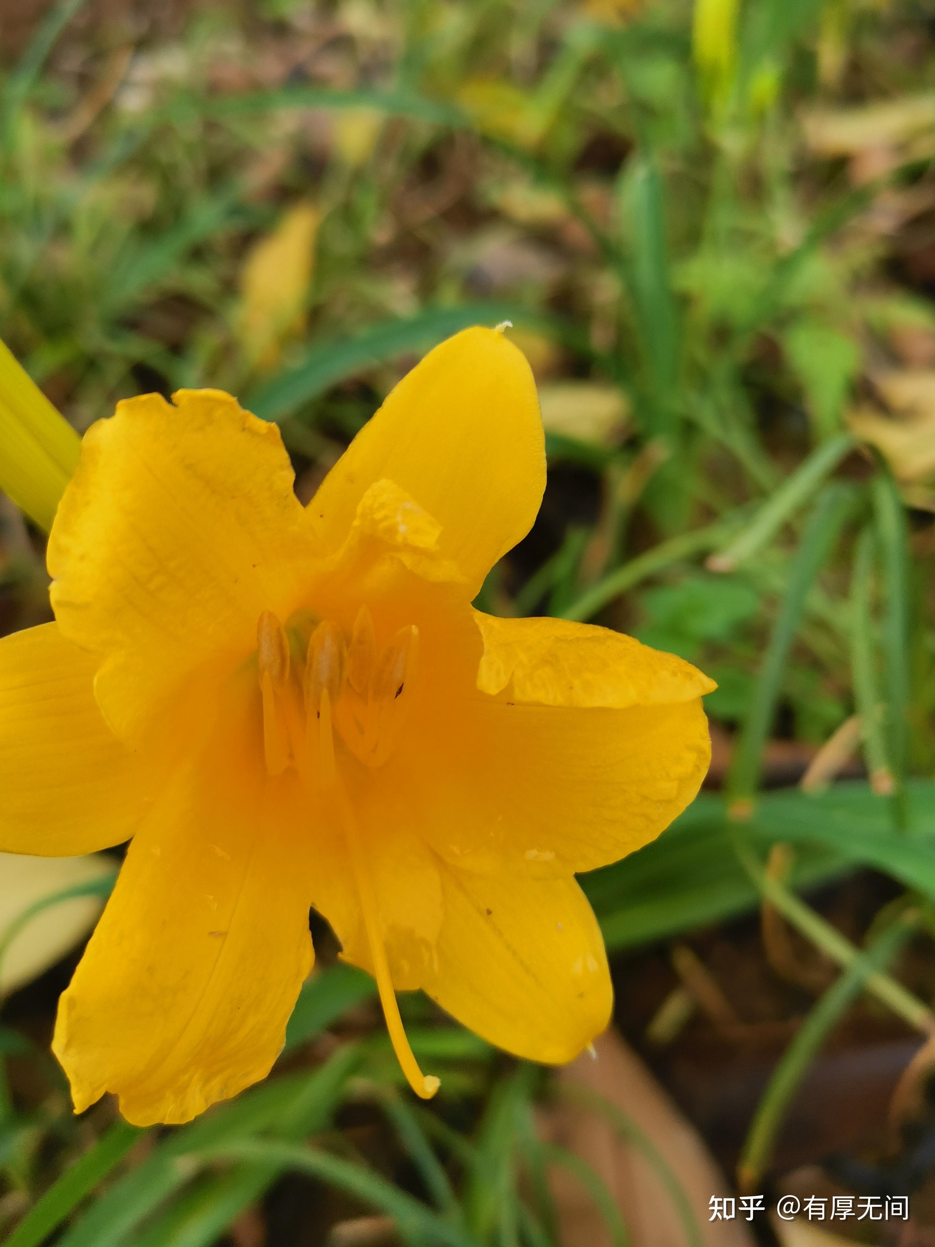 \u9053\u5fb7\u4f59\u6656\u4e0b\u7684\u5723\u738b\u4e4b\u6cbb\u2014\u2014\u89e3\u6790\u300a\u901a\u7384\u771f\u7ecf\u300b\u4e2d\u7684\u738b\u9053\u5bc6\u7801\uff08\u516b\uff09 - \u77e5\u4e4e