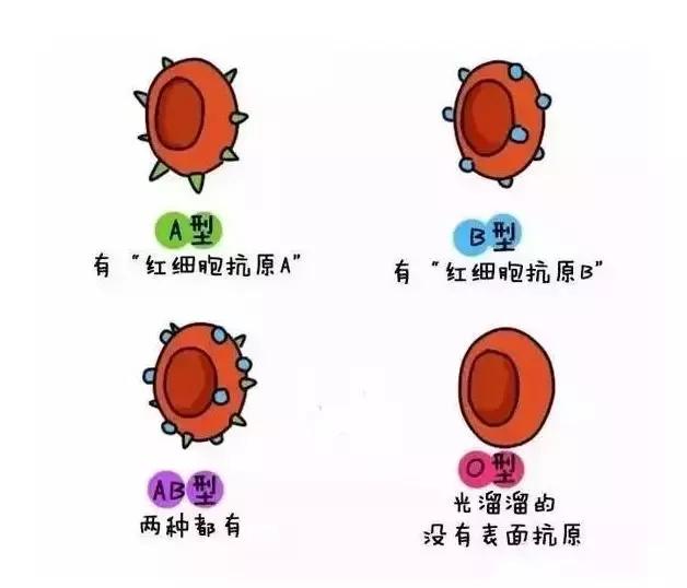 v2-ce03ba25a2ab6afb8d6289f6fe1c417d_1440w.jpg?source=172ae18b