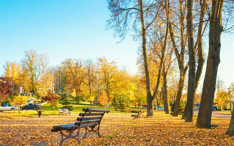 乡村田园综合体4大共生发展模式及策略
