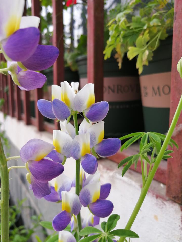 Pic3 Zhimg Com V2 Ce0fe08fc115dc510c