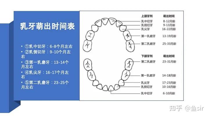 74没牙就不需要护理在孩子乳牙萌出前