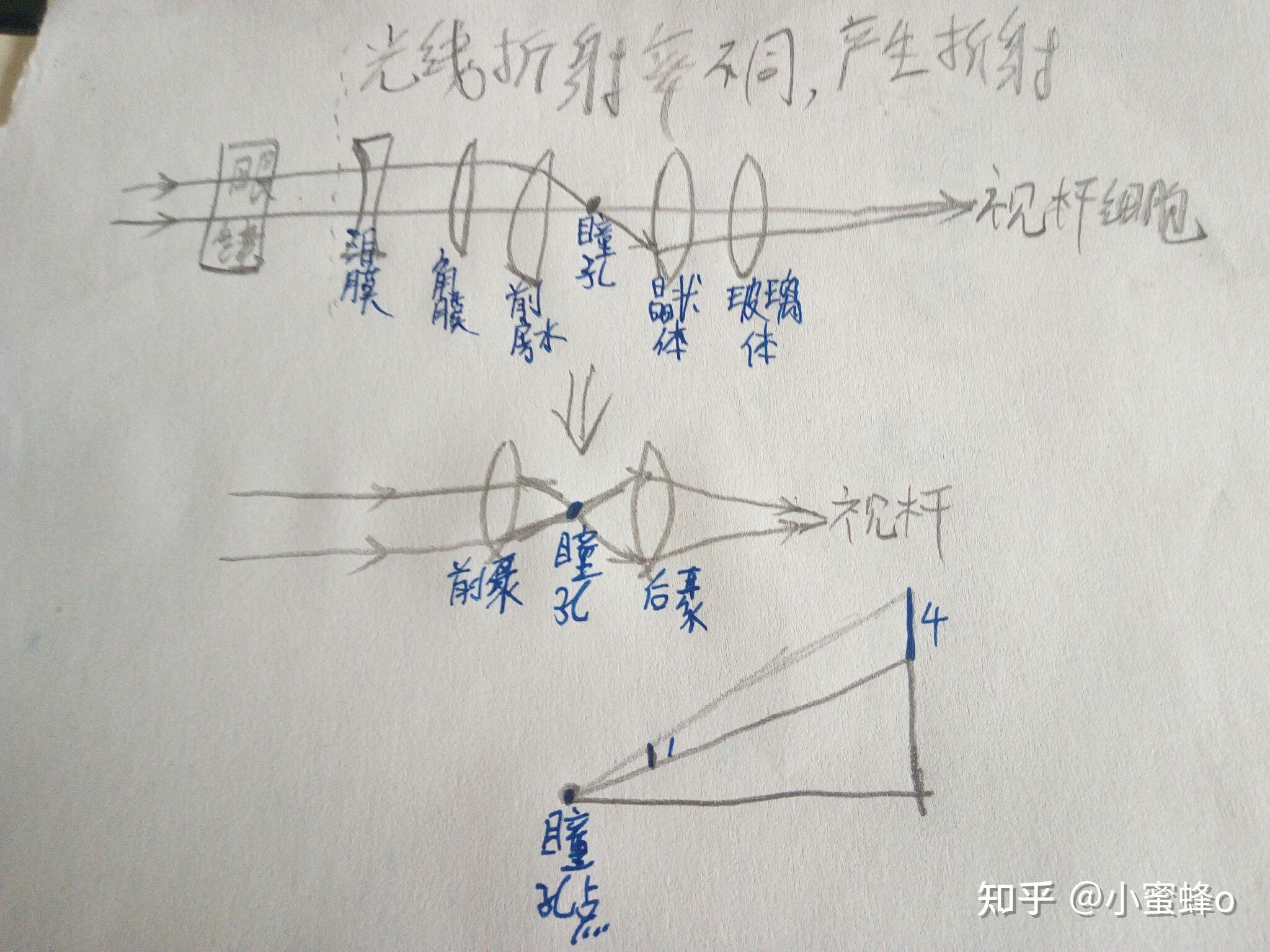 【史上最强!】近视原理与恢复心法