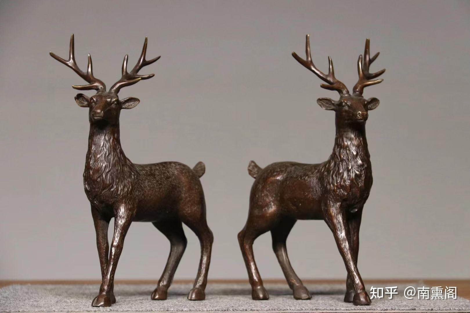 灵鹿- 知乎