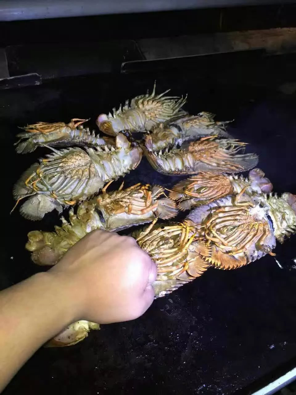 布置我们的营地,另一部分人在翻译和土著的带领下去海里潜水抓大鳌蟹
