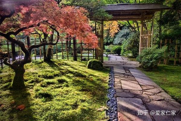 如何打造一个超小的日本庭院 知乎