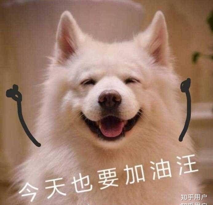 高斯课堂和猴博士这样的网课效果究竟怎样呢?