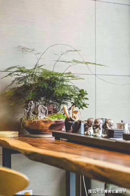 简约自然，美得让人着迷的茶桌：南美胡桃木实木大板 - 知乎