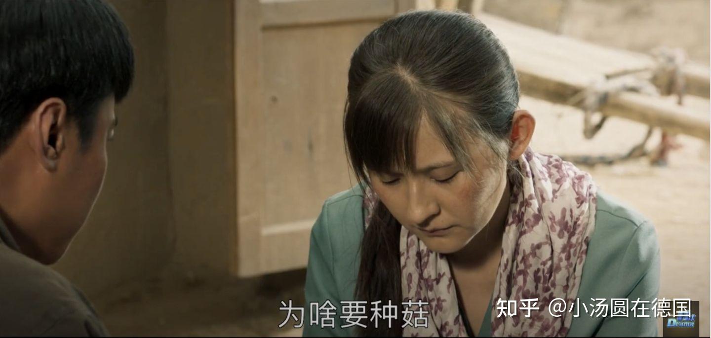 山海情柔弱却坚强的李水花如何苦水里开出了最美的花