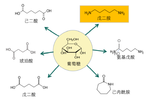 这项技术是人类向造物主迈出的第一步