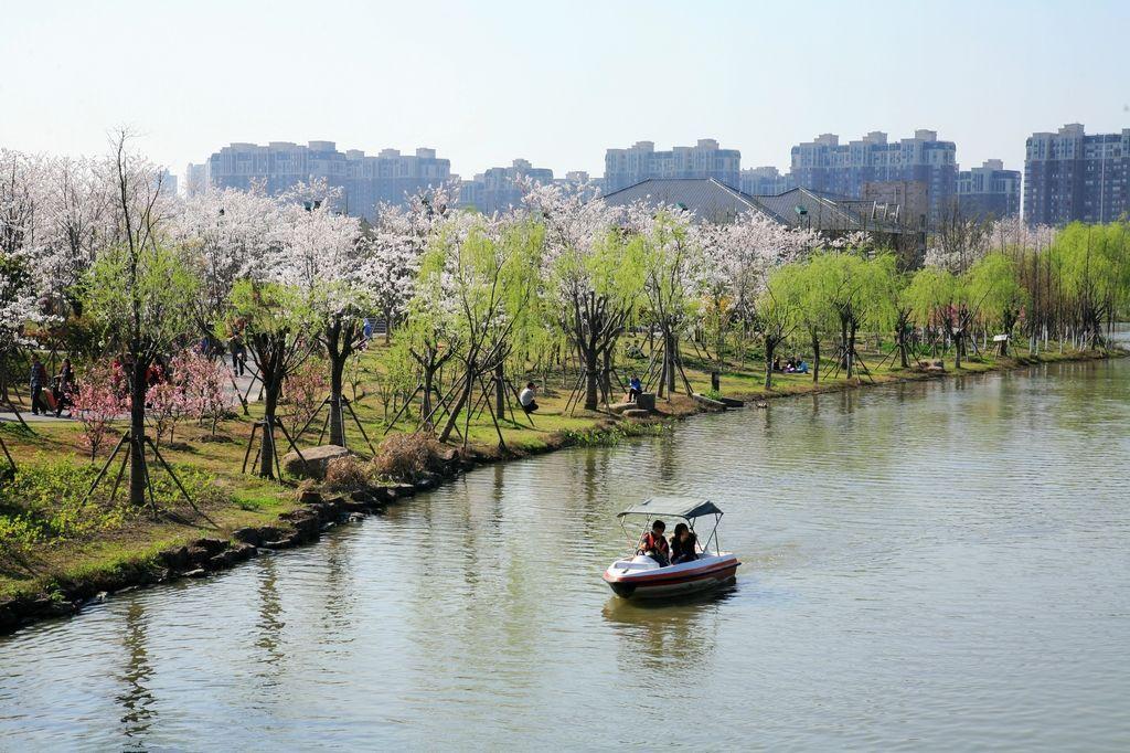 上海顾村公园景点介绍图片