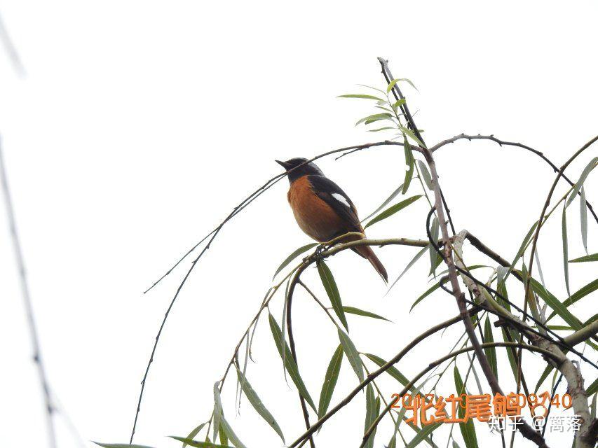 有什么有趣的实验?