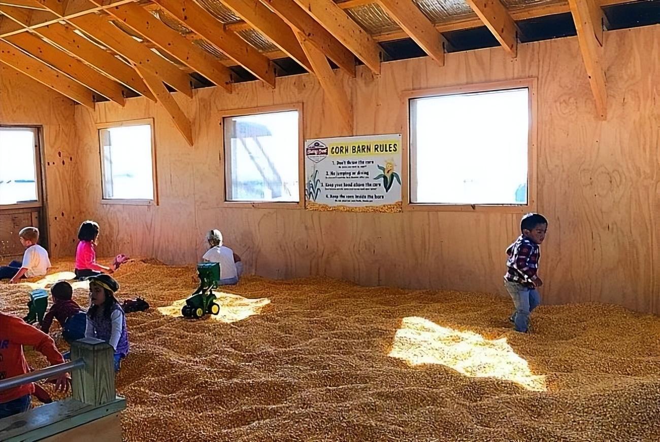 冒险农场野趣多美国樱桃冠农场的转型之路