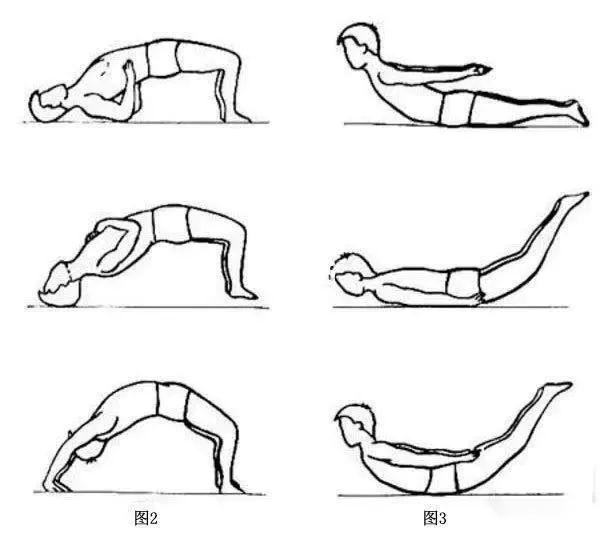 小飞燕真的能治疗腰间盘吗?小燕飞标准动作